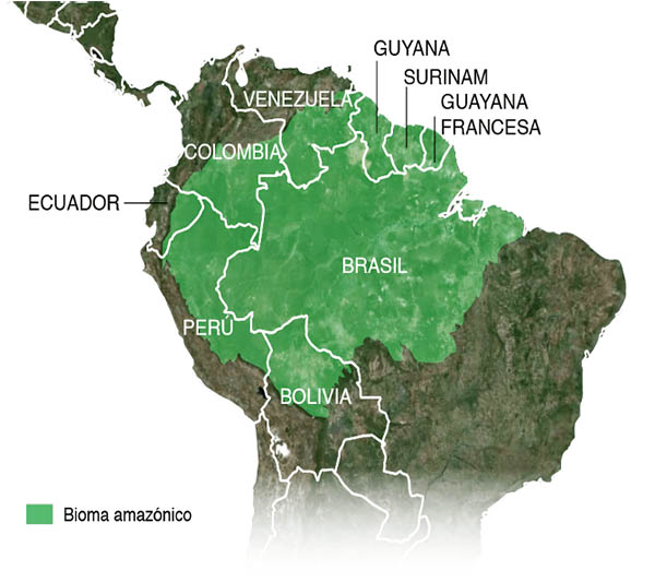 PRESENCIA DE LAS MISIONERAS TERESITAS EN LA AMAZONIA